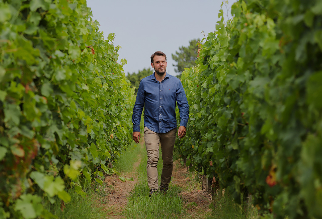 Chancholle Consultant - Œnologie - Bordeaux