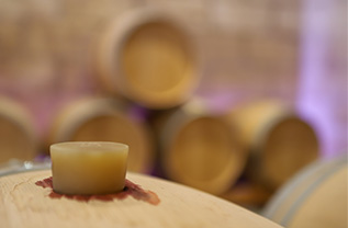 chancholle Consultant - cuve vin du vignoble de Pessac-Léognan